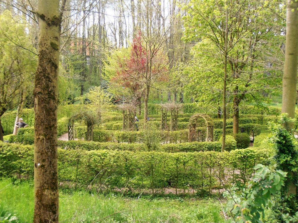 Gasthaus Schadde フロートー エクステリア 写真