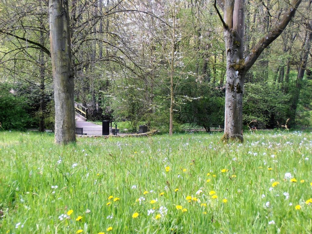 Gasthaus Schadde フロートー エクステリア 写真